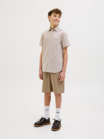 JACK & JONES Shorts Sttony Carpenter Elmwood